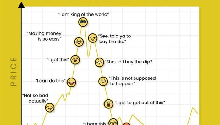 Tradingview market cycles phases understanding chart