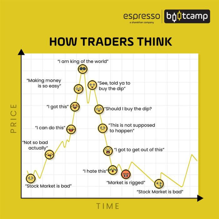 Tradingview market cycles phases understanding chart