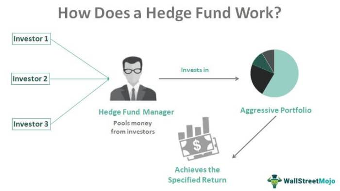 Fund hedge funds structure does starting investment management take long diagram company form work thesis analysis example paper assets marketing