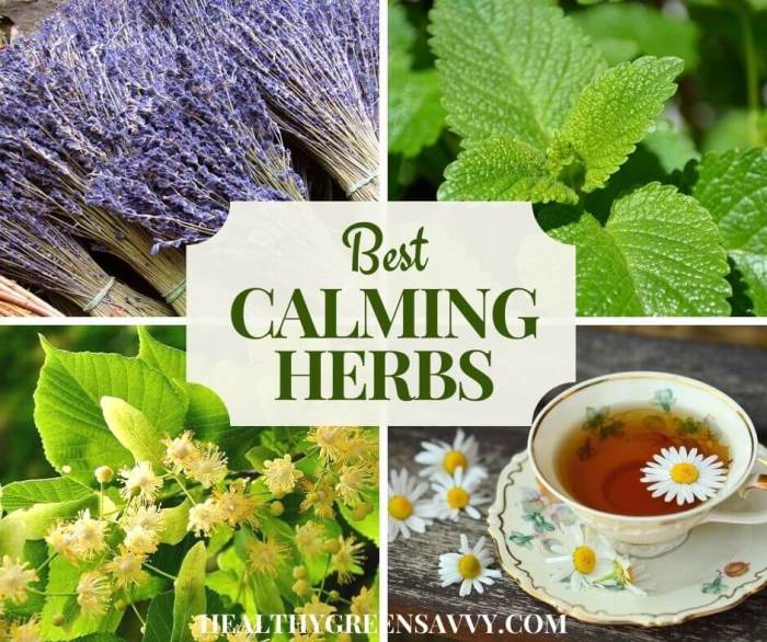 Herbs for reducing stress naturally