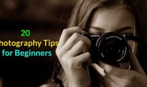 Photography Tips for Beginners